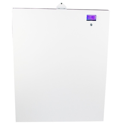 Parete eccellente componente elettrica 5kwh 48v di potere del condensatore di alta sicurezza dell'alta energia